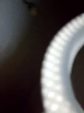 rodovlaz online show from February 2025 12:35:02 AM