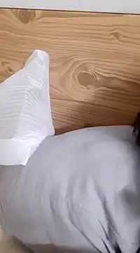 Snapshot of ayndeu chatting on February 2025 02:43:01 PM ayndeu online show from February 2025 02:43:01 PM