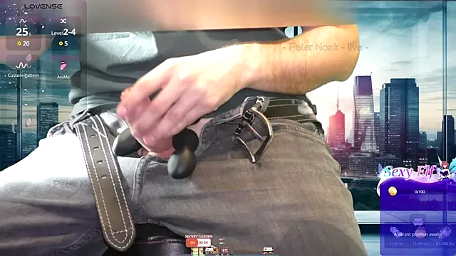 Snapshot of PeterNoak chatting on January 2025 09:46:02 PM PeterNoak online show from January 2025 09:46:02 PM