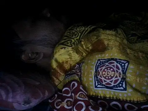 Snapshot of chittagong77 chatting on December 2025 09:53:01 PM chittagong77 online show from December 2025 09:53:01 PM