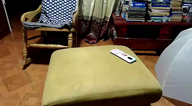 marinadenoche online show from January 2025 12:25:01 AM