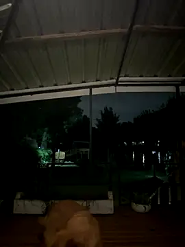 Snapshot of dinamita_Blair chatting on October 2025 01:20:01 AM dinamita Blair online show from October 2025 01:20:01 AM