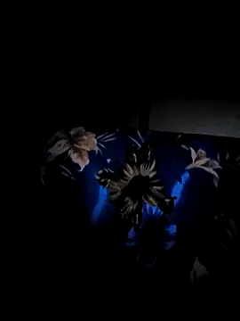 Snapshot of vansh1802 chatting on January 2025 03:54:02 AM vansh1802 online show from January 2025 03:54:02 AM