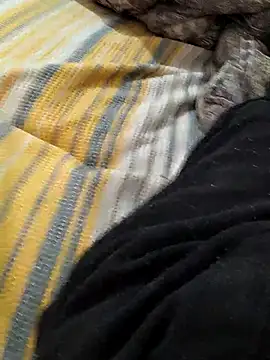 Yaramaz331 online show from March 2025 06:39:02 AM