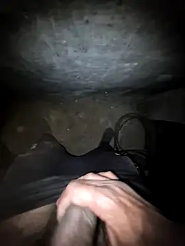 Snapshot of breejs chatting on October 2025 03:46:02 PM breejs online show from October 2025 03:46:02 PM