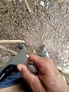 Snapshot of breejs chatting on October 2025 06:02:02 AM breejs online show from October 2025 06:02:02 AM