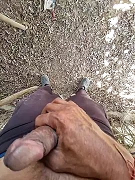 Snapshot of breejs chatting on November 2025 06:55:01 AM breejs online show from November 2025 06:55:01 AM