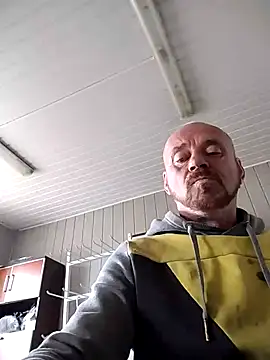 wilkalfa online show from October 2025 10:22:02 AM