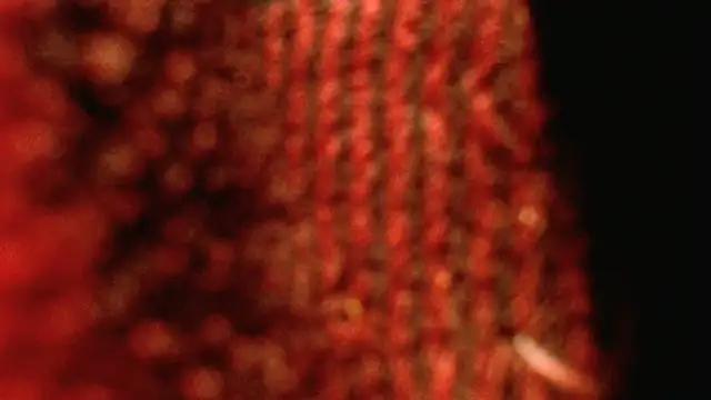 Snapshot of rockhead1971 chatting on October 2025 10:49:02 AM rockhead1971 online show from October 2025 10:49:02 AM