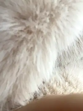 Feral berry 8133 online show from December 2024 06:20:01 AM