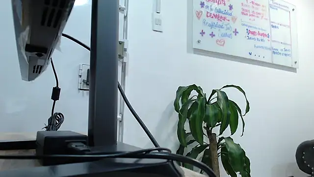 Snapshot of _kishy_alec chatting on February 2025 01:22:01 AM  kishy alec online show from February 2025 01:22:01 AM