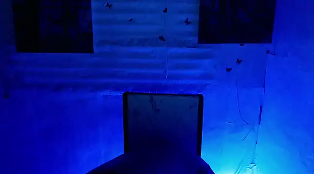 bbygrl Carol online show from January 2025 10:32:01 AM