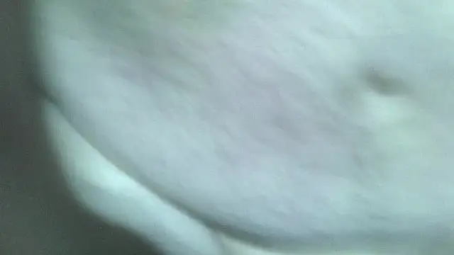 Snapshot of fishhead2100 chatting on December 2025 07:24:01 AM fishhead2100 online show from December 2025 07:24:01 AM