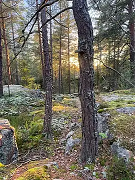 Andreashow online show from October 2025 02:29:02 PM