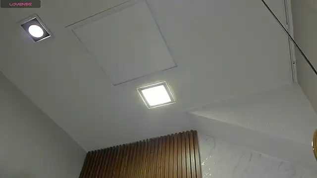 Snapshot of SebastianMaximoff chatting on October 2025 07:36:01 PM SebastianMaximoff online show from October 2025 07:36:01 PM