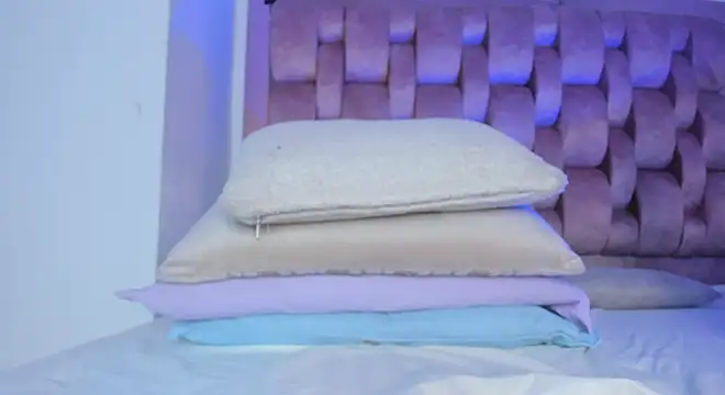 swt-booty online show from January 2025 12:34:02 AM