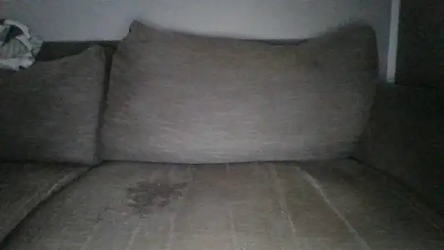 Snapshot of Anderrust chatting on February 2025 10:59:02 AM Anderrust online show from February 2025 10:59:02 AM