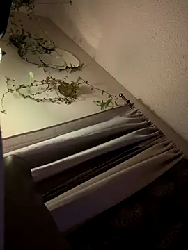 Snapshot of ClumsyLink chatting on October 2025 12:47:01 PM ClumsyLink online show from October 2025 12:47:01 PM