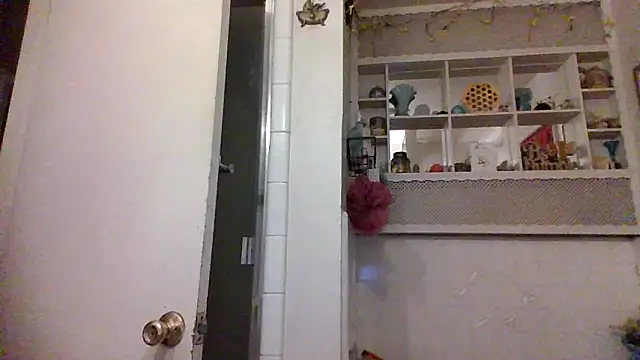 Snapshot of ClumsyLink chatting on October 2025 03:56:02 AM ClumsyLink online show from October 2025 03:56:02 AM