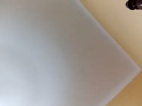 Snapshot of White_rabbit_ chatting on March 2025 09:32:02 PM White rabbit online show from March 2025 09:32:02 PM