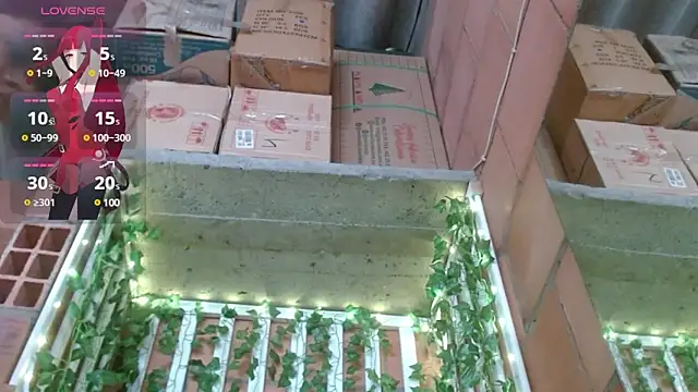 belindathompson online show from February 2025 09:24:02 PM