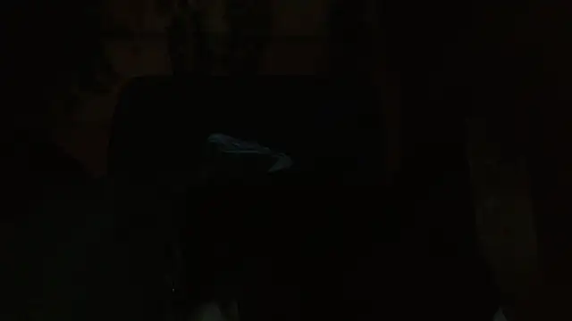 belindathompson online show from November 2025 10:54:02 PM