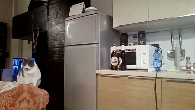 Snapshot of woww791 chatting on October 2025 05:43:01 PM woww791 online show from October 2025 05:43:01 PM