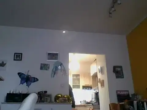 Snapshot of 82liska chatting on November 2025 11:19:01 AM 82liska online show from November 2025 11:19:01 AM