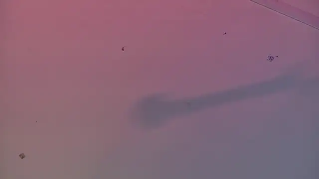 Snapshot of Scarlett_collins02 chatting on March 2025 08:08:01 AM Scarlett collins02 online show from March 2025 08:08:01 AM