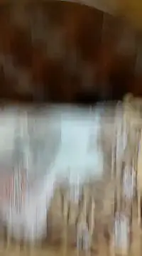 Snapshot of Ansh731989 chatting on January 2025 05:45:02 PM Ansh731989 online show from January 2025 05:45:02 PM