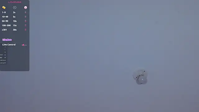 Snapshot of bella_n99 chatting on December 2024 03:13:02 PM bella n99 online show from December 2024 03:13:02 PM