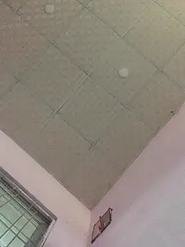 Hullax online show from November 2025 01:07:02 AM