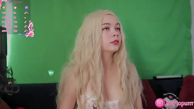 Snapshot of How2Meow chatting on September 2025 01:11:02 PM How2Meow online show from September 2025 01:11:02 PM