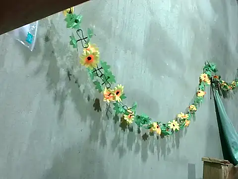 Snapshot of 2ocmaxi chatting on October 2025 05:12:02 PM 2ocmaxi online show from October 2025 05:12:02 PM