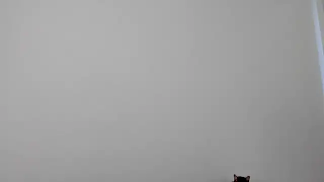 Snapshot of All_yours555 chatting on October 2025 08:55:02 PM All yours555 online show from October 2025 08:55:02 PM