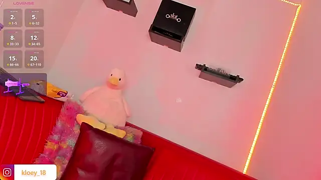 Snapshot of kloey_hoot chatting on January 2025 02:49:01 AM kloey hoot online show from January 2025 02:49:01 AM