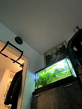 Toyjungee online show from September 2025 03:37:01 PM