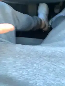 Snapshot of Fellix chatting on December 2024 08:37:02 AM Fellix online show from December 2024 08:37:02 AM