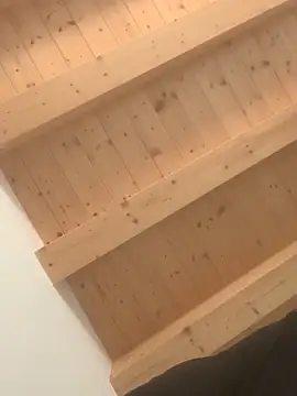 Snapshot of Fellix chatting on February 2025 02:43:01 PM Fellix online show from February 2025 02:43:01 PM