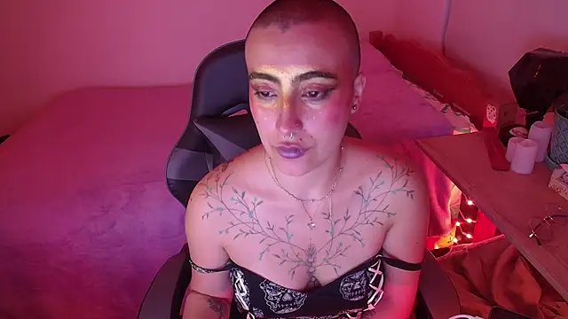 Liil cat online show from February 2025 06:21:01 AM