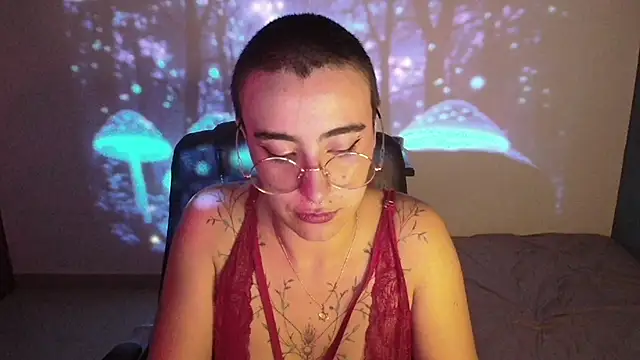 Liil cat online show from February 2025 09:23:01 AM