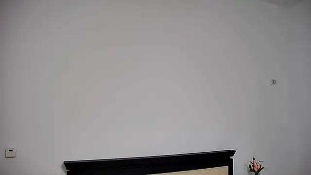 Snapshot of Sierra_Halle chatting on March 2025 11:57:02 PM Sierra Halle online show from March 2025 11:57:02 PM