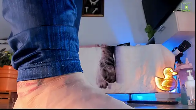 Snapshot of miaa-lee chatting on October 2025 04:28:01 PM miaa-lee online show from October 2025 04:28:01 PM