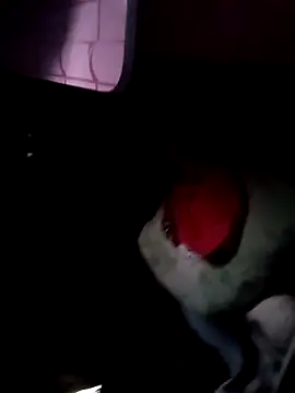 Snapshot of 121fff chatting on October 2025 09:40:01 AM 121fff online show from October 2025 09:40:01 AM