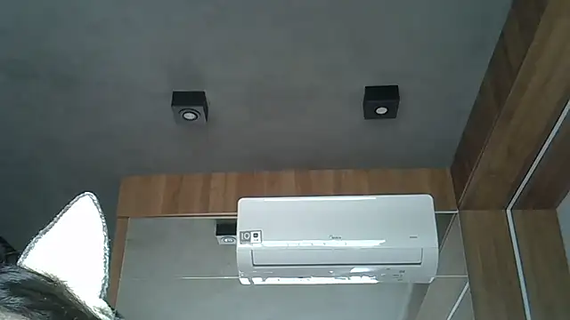 Skinny-Kitten online show from October 2025 12:36:02 PM