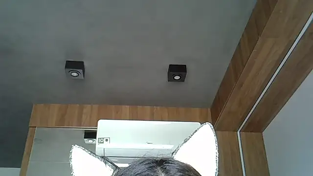 Skinny-Kitten online show from October 2025 02:27:02 PM