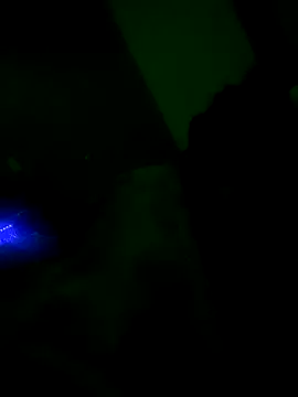 shauntaeme online show from December 2025 09:48:01 AM