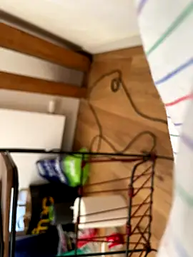 Snapshot of la_chiennete chatting on September 2025 01:05:01 PM la chiennete online show from September 2025 01:05:01 PM