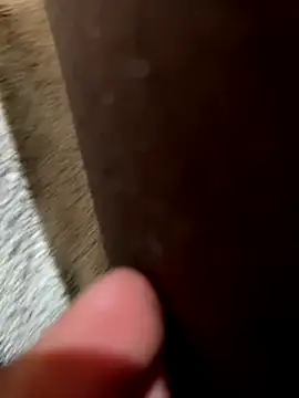 Snapshot of la_chiennete chatting on November 2025 09:30:02 PM la chiennete online show from November 2025 09:30:02 PM