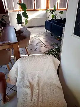 Snapshot of Isabellaa04 chatting on October 2025 02:15:01 PM Isabellaa04 online show from October 2025 02:15:01 PM